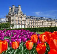 LOL直播入口-包含法国羽毛球队强势英格兰羽毛球队，斯里坎特关键制胜的词条