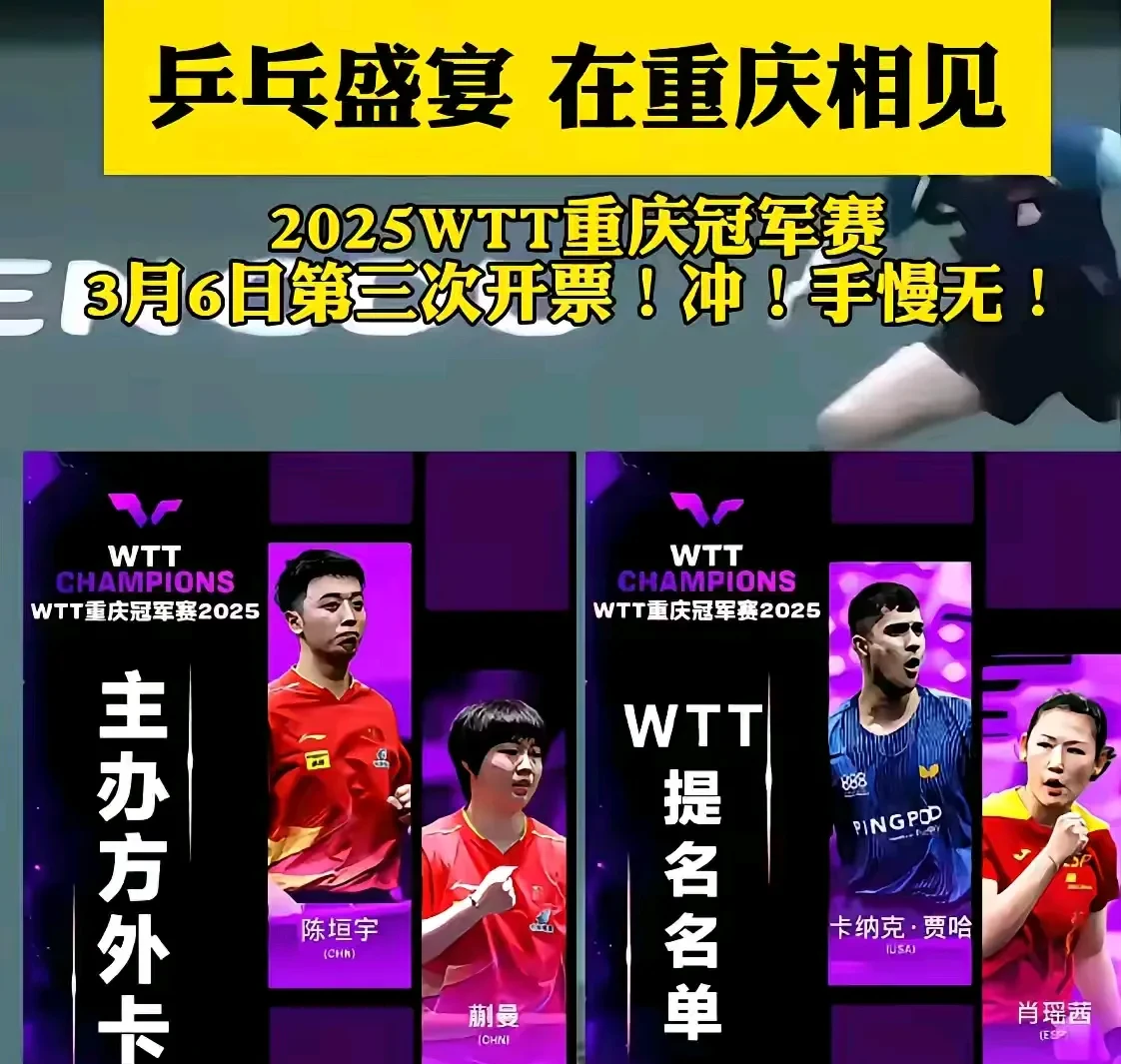 比利时乒乓球队绝杀日本乒乓球队,许昕三分雨点燃全场 比利时乒乓球队绝杀日本乒乓球队,许昕三分雨点燃全场