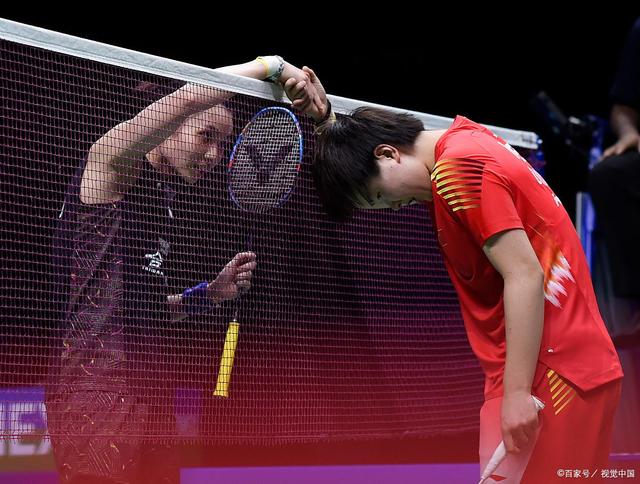 法国队碾压印尼队，戴资颖高光表现的简单介绍