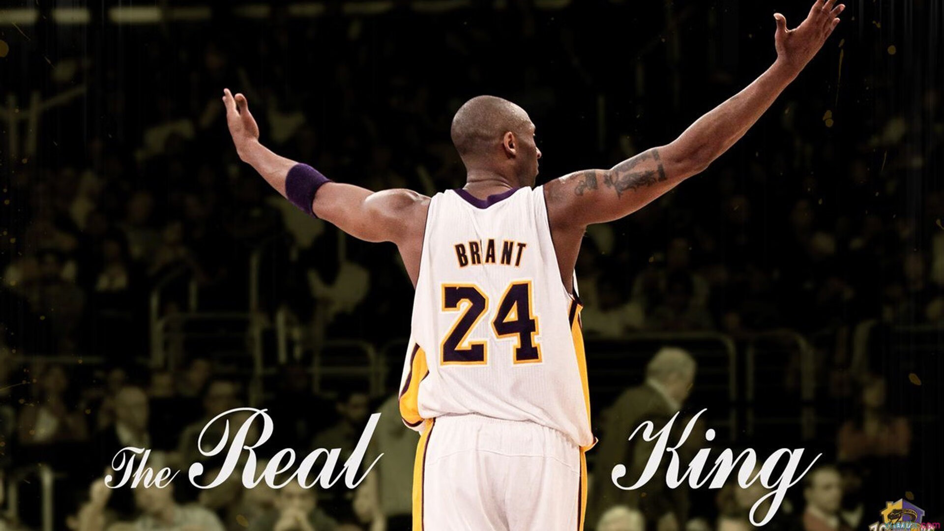 猎鹰时刻,当詹姆斯在关键节点扼住命运的咽喉